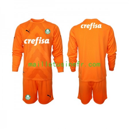 Maillot de Foot Palmeiras Gardien Troisième 2022-23 Manches Longues - Enfant Maillot de Foot Palmeiras Gardien Troisième 2022-23 Manches Longues - Enfant